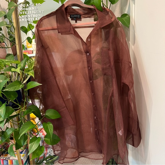 Brown sheer button up top - Picture 6 of 6